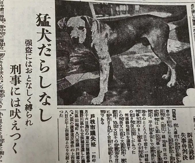 日本网友又在瞎说什么大实话？第57回
