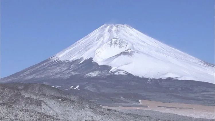 第234期：永野芽郁与田中圭不伦脚踏两条船？日本多地爆发杀人恶性事件？大阪世博保安向游客下跪？《柯南》新剧场版上映 | 百通板