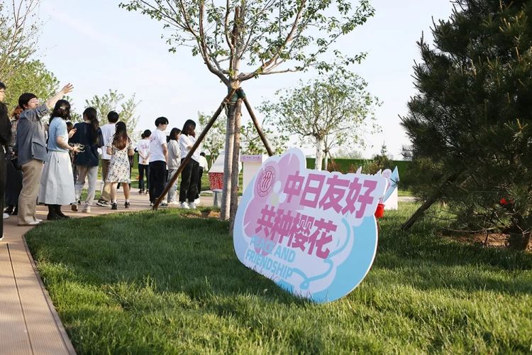 在樱花与樱桃之间，一场中日青年的春日对话——第七届“中日未来创发论坛”在京举办
