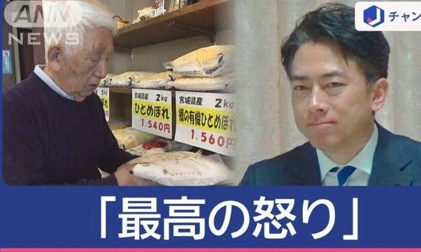 日本释放陈年储备米引争议：中小超市与米店怒批