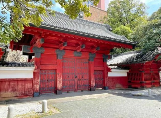 第238期：富士山进入喷发状态？大岛优子林遣都二胎；日本男双64年后再夺金；日本国际音乐大奖MAJ揭晓 | 百通板