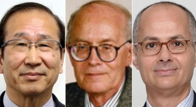 第258期：高市早苗首相梦碎？米仓凉子涉毒？NHK官宣红白主持人 绫濑遥领衔；大阪世博闭幕 | 百通板