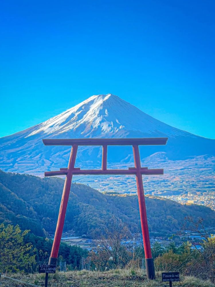 第256期：日本大地震概率又高了？特朗普宝可梦打击移民？拉布布联名大阪世博 | 百通板