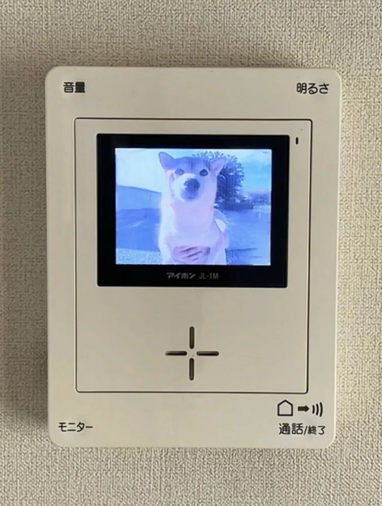 第257期：高市早苗成日本首任女首相？称日本人需像牛马一样工作；国庆周海外游日本最热门；诺贝尔奖出炉 | 百通板