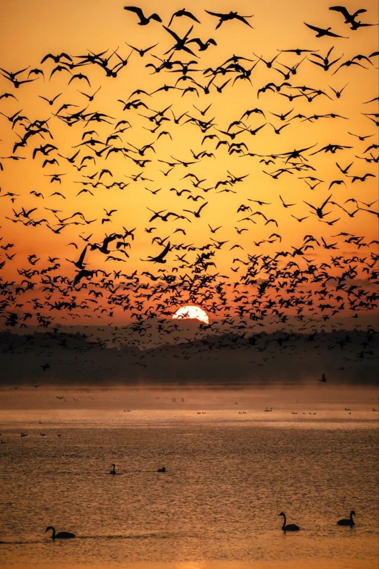 第264期:在华演出接连取消 日本音乐人怒批日本政府?中国暂停日本水产进口;唱片大奖公布 | 百通板 第264期:在华演出接连取消 日本音乐人怒批日本政府?中国暂停日本水产进口;唱片大奖公布 | 百通板