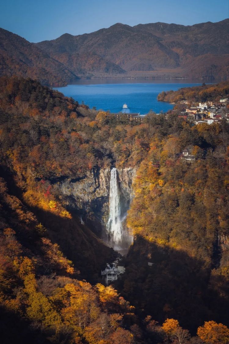 第260期：特朗普与高市早苗会面；龟梨和也与田中美奈实分手？日本熊灾肆虐；安倍晋三枪击案公审 | 百通板