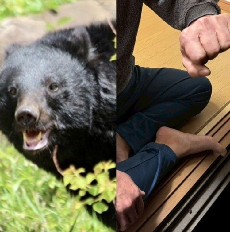 日本熊袭事件创历史新高:196人受害13人死亡 日本熊袭事件创历史新高:196人受害13人死亡