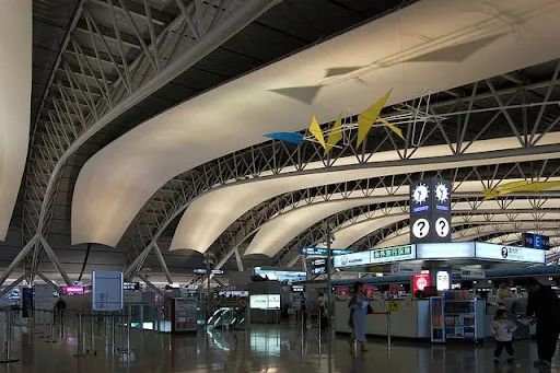 中国游客在日本关西机场坠落身亡，同游母亲当场目睹悲剧？