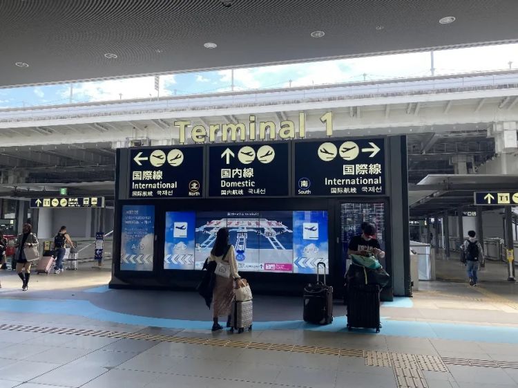 中国游客在日本关西机场坠落身亡，同游母亲当场目睹悲剧？