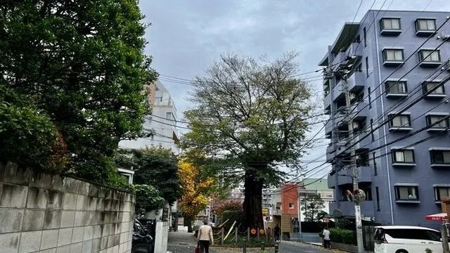 日本地产市场火热引得“地面师”再现江湖，动辄诈骗几十亿的他们究竟是什么人？