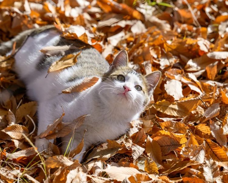 第264期:在华演出接连取消 日本音乐人怒批日本政府?中国暂停日本水产进口;唱片大奖公布 | 百通板 第264期:在华演出接连取消 日本音乐人怒批日本政府?中国暂停日本水产进口;唱片大奖公布 | 百通板