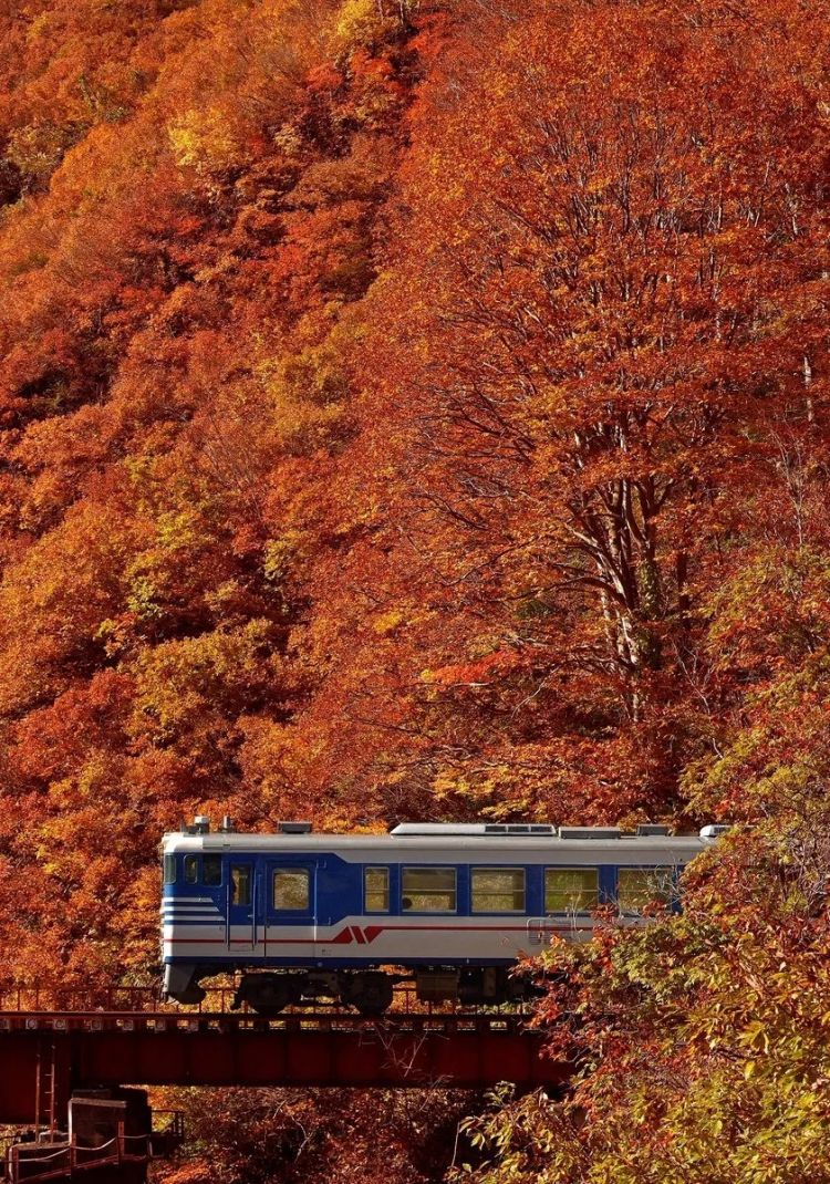 第261期:中国对日免签延长;木村拓哉长女恋爱?中日轮值APEC主席国;哥斯拉续作定名;日本熊灾 | 百通板 第261期:中国对日免签延长;木村拓哉长女恋爱?中日轮值APEC主席国;哥斯拉续作定名;日本熊灾 | 百通板
