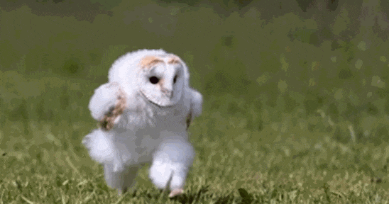 杨XX麻辣烫、Labubu也能成为日本年度流行语?好多看着莫名其妙啊! 杨XX麻辣烫、Labubu也能成为日本年度流行语?好多看着莫名其妙啊!