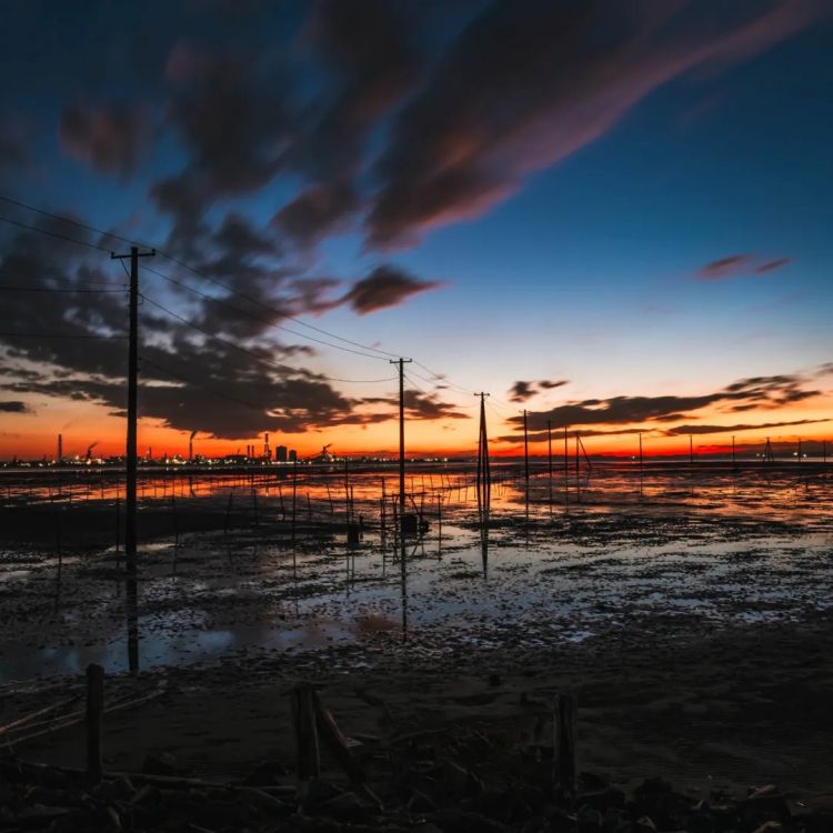 第267期:新一批731细菌战罪证公布;日本年度汉字揭晓;日本近7成支持女性天皇?日本将没有大熊猫?| 百通板 第267期:新一批731细菌战罪证公布;日本年度汉字揭晓;日本近7成支持女性天皇?日本将没有大熊猫?| 百通板