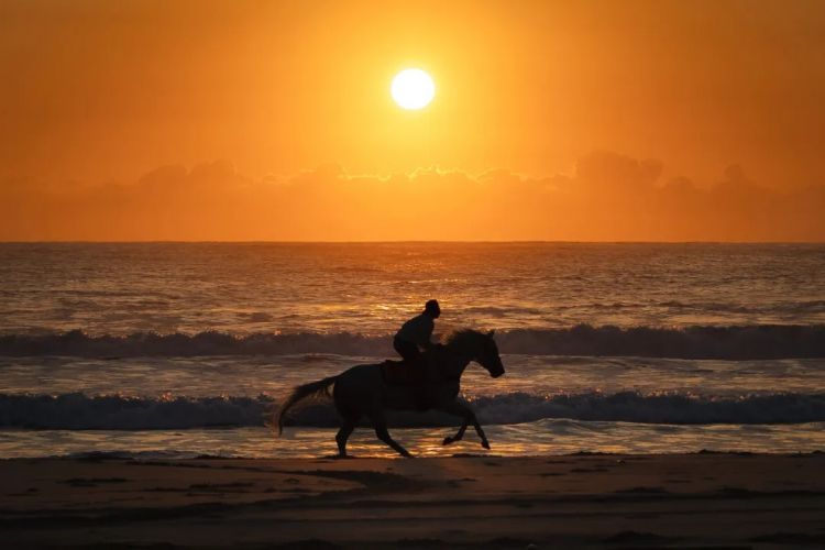 第265期：高市早苗名言当选日本年度流行语？东京拟提高住宿税；滨崎步演唱会紧急叫停？| 百通板