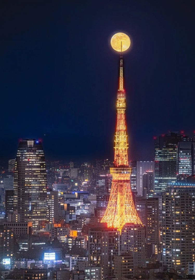 第268期：日本拥核论遭日本民众强烈抗议；安倍晋三刺杀案或判刑无期？新木优子中岛裕翔将结婚？福原爱再婚 | 百通板