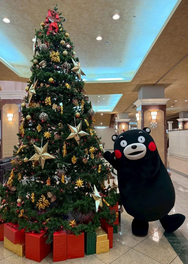 第268期：日本拥核论遭日本民众强烈抗议；安倍晋三刺杀案或判刑无期？新木优子中岛裕翔将结婚？福原爱再婚 | 百通板