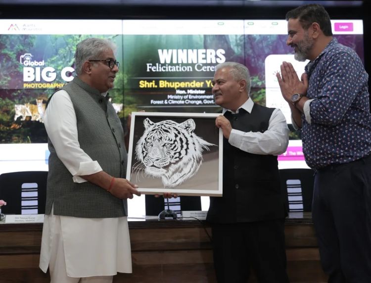 日本剪纸师曝作品被印度人抄袭！官方求助无果，之前还被人嘲讽“水平不行”…