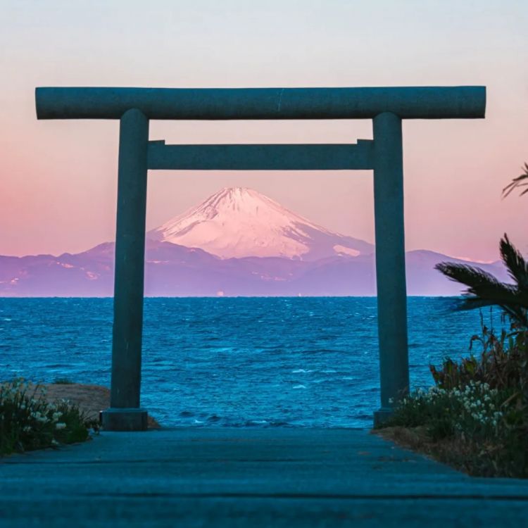 第267期:新一批731细菌战罪证公布;日本年度汉字揭晓;日本近7成支持女性天皇?日本将没有大熊猫?| 百通板 第267期:新一批731细菌战罪证公布;日本年度汉字揭晓;日本近7成支持女性天皇?日本将没有大熊猫?| 百通板