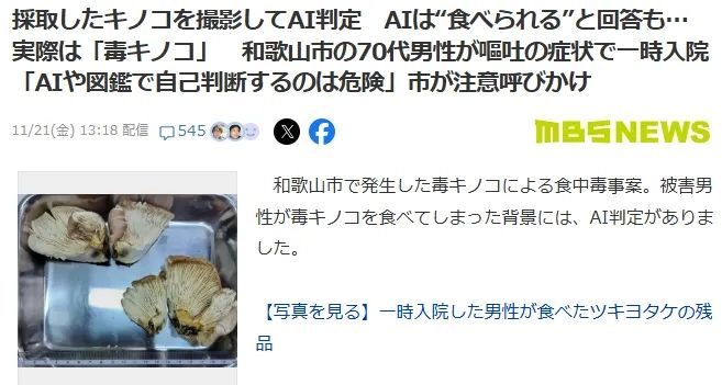 日本大爷上山采蘑菇吃完差点没命，大爷：问了AI说没毒才吃的…