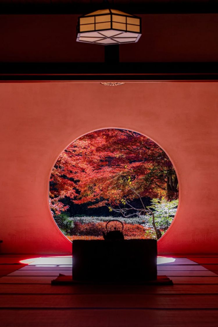 第265期：高市早苗名言当选日本年度流行语？东京拟提高住宿税；滨崎步演唱会紧急叫停？| 百通板