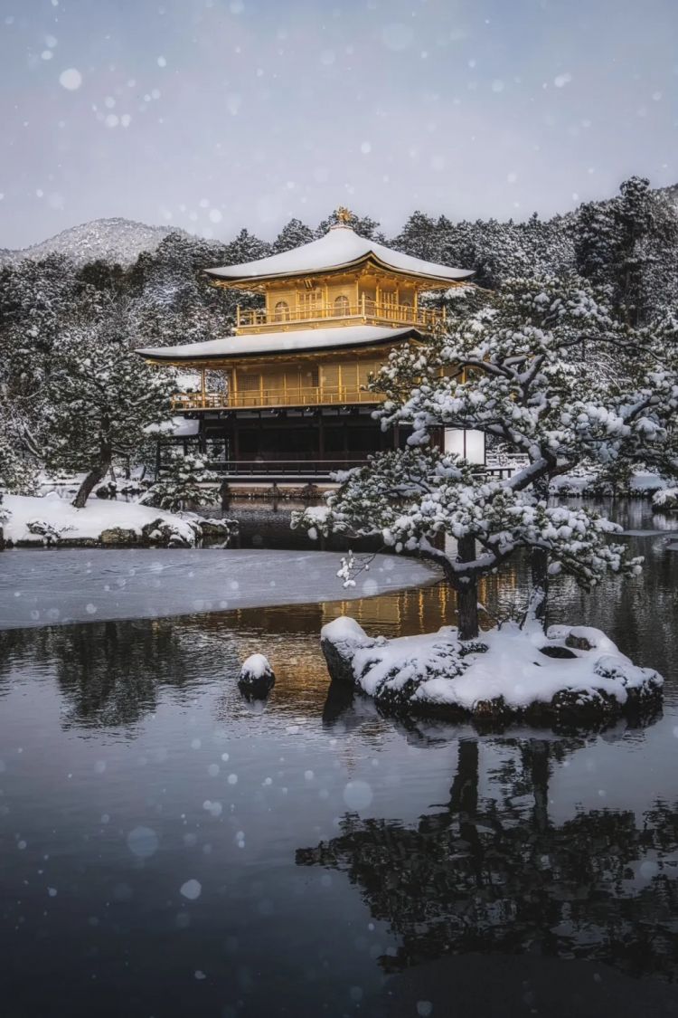 第271期：中国对日本实施出口管制；北海道餐馆墙壁藏尸？高市早苗将解散众议院 日本或提前大选？XG改名 | 百通板