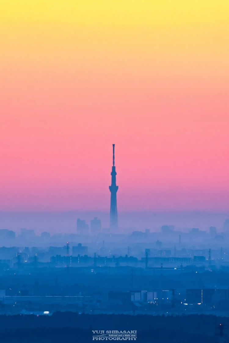 第269期:日本投入62亿应对熊害;松田圣子加盟红白;堂本光一宣布结婚;日本出生 第269期:日本投入62亿应对熊害;松田圣子加盟红白;堂本光一宣布结婚;日本出生