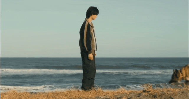 好厉害!狗狗电影竟然拍出了苦难人间 好厉害!狗狗电影竟然拍出了苦难人间