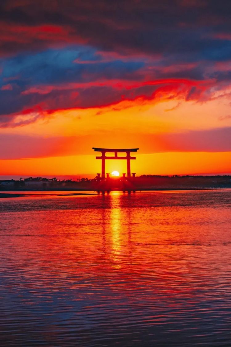 第271期：中国对日本实施出口管制；北海道餐馆墙壁藏尸？高市早苗将解散众议院 日本或提前大选？XG改名 | 百通板