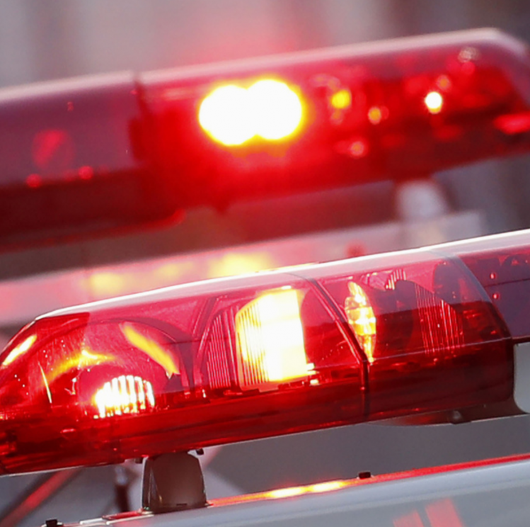 日本皇居新年参贺突发裸奔事件 男子涉公然猥亵被捕