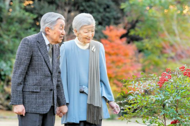 第269期:日本投入62亿应对熊害;松田圣子加盟红白;堂本光一宣布结婚;日本出生 第269期:日本投入62亿应对熊害;松田圣子加盟红白;堂本光一宣布结婚;日本出生