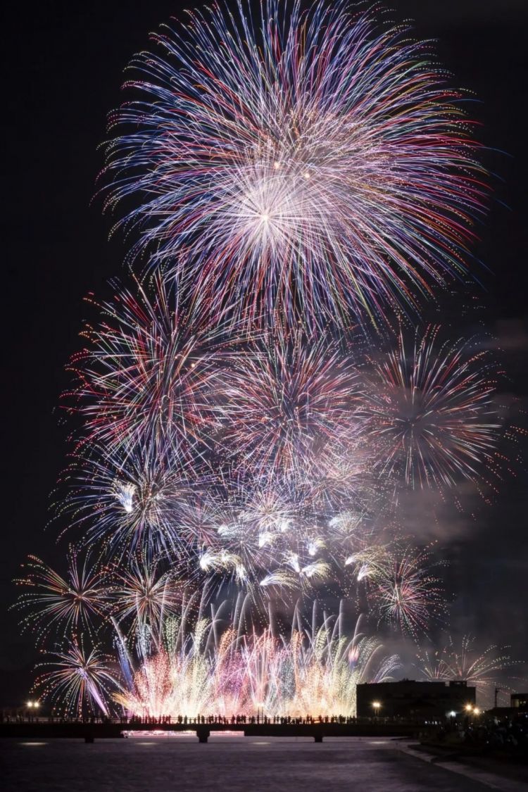 第269期:日本投入62亿应对熊害;松田圣子加盟红白;堂本光一宣布结婚;日本出生 第269期:日本投入62亿应对熊害;松田圣子加盟红白;堂本光一宣布结婚;日本出生