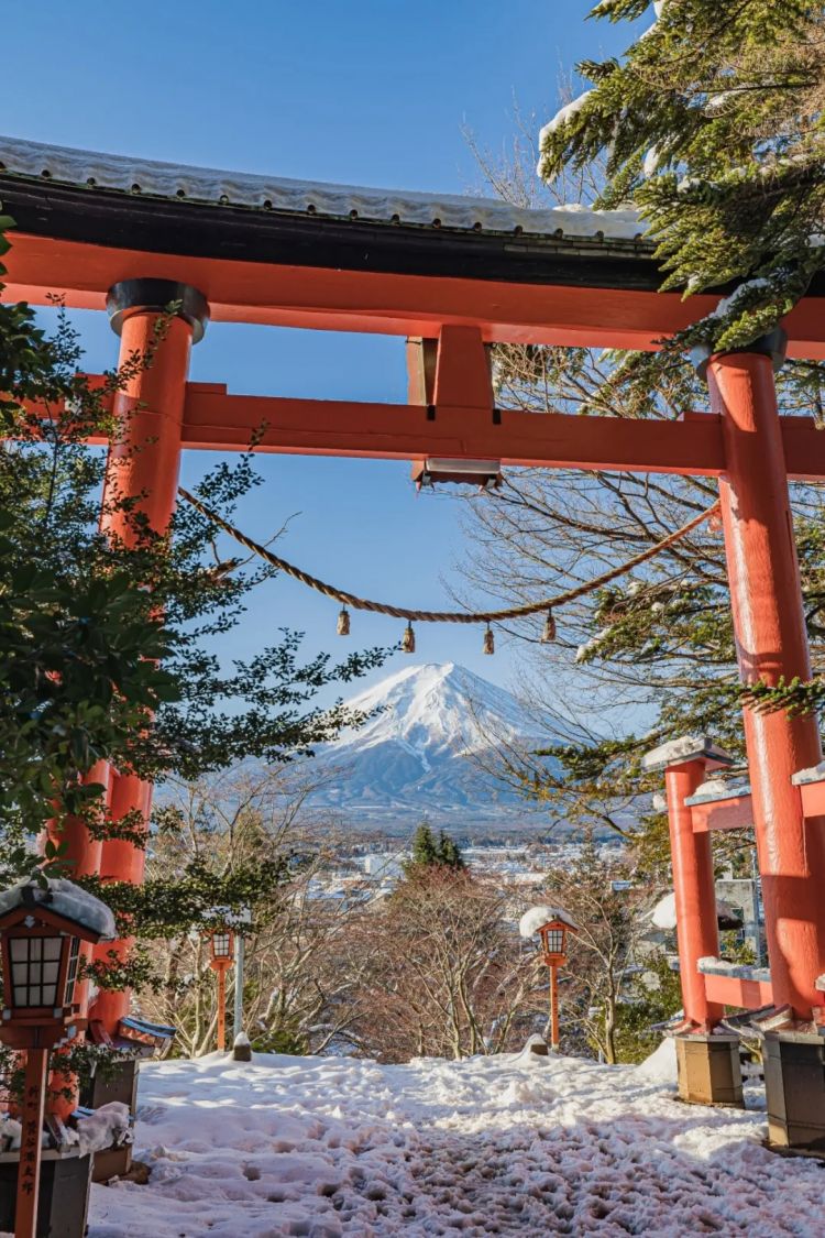 第269期:日本投入62亿应对熊害;松田圣子加盟红白;堂本光一宣布结婚;日本出生 第269期:日本投入62亿应对熊害;松田圣子加盟红白;堂本光一宣布结婚;日本出生