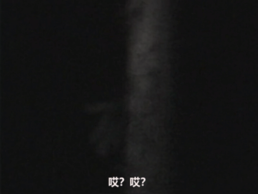 日本伪纪录片鬼才导演又出手了,恐怖拉满! 日本伪纪录片鬼才导演又出手了,恐怖拉满!