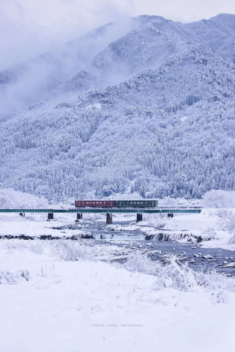 第269期:日本投入62亿应对熊害;松田圣子加盟红白;堂本光一宣布结婚;日本出生 第269期:日本投入62亿应对熊害;松田圣子加盟红白;堂本光一宣布结婚;日本出生