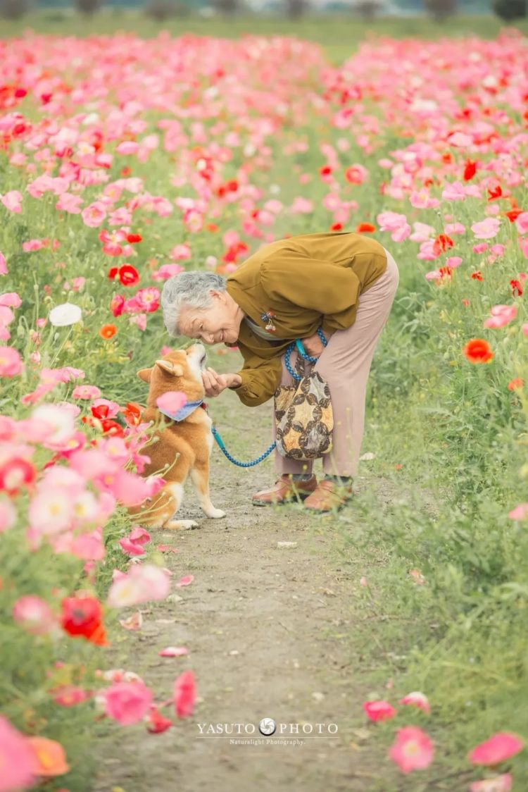 第271期：中国对日本实施出口管制；北海道餐馆墙壁藏尸？高市早苗将解散众议院 日本或提前大选？XG改名 | 百通板