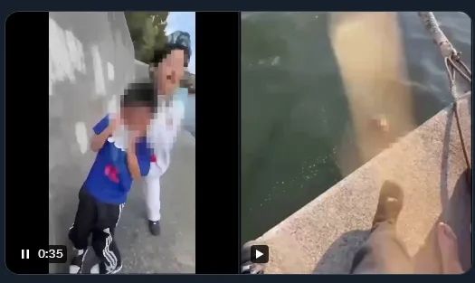 那些拍下霸凌视频并炫耀的日本少年,正面临一场前所未有的全网围剿 那些拍下霸凌视频并炫耀的日本少年,正面临一场前所未有的全网围剿