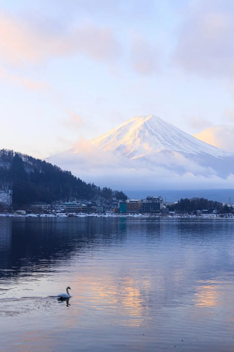 第269期:日本投入62亿应对熊害;松田圣子加盟红白;堂本光一宣布结婚;日本出生 第269期:日本投入62亿应对熊害;松田圣子加盟红白;堂本光一宣布结婚;日本出生