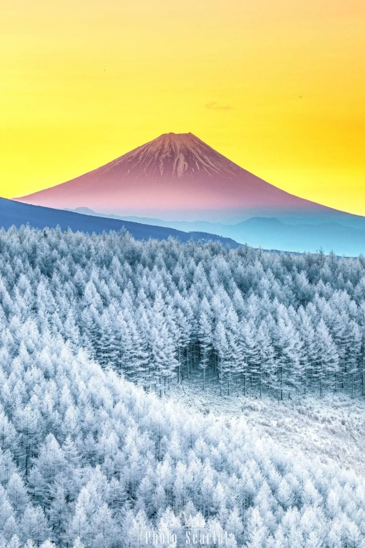 第270期：元旦结婚潮 日剧吧四大台柱均已结婚；印度超越日本成第四大经济体？永野芽郁更新博客 | 百通板