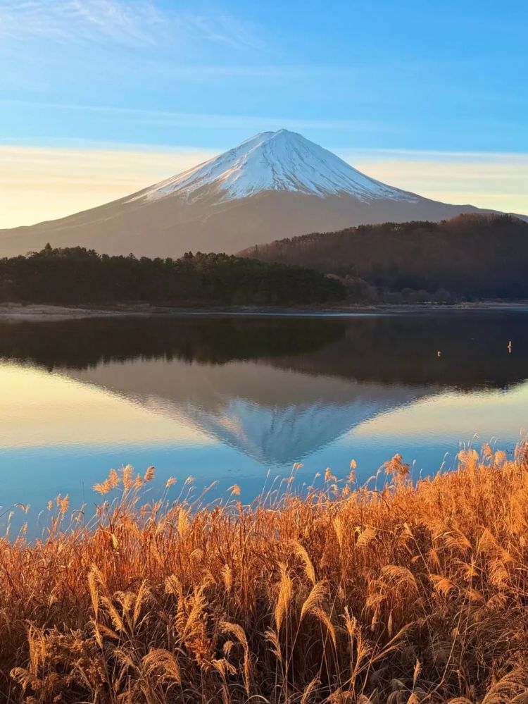 第269期:日本投入62亿应对熊害;松田圣子加盟红白;堂本光一宣布结婚;日本出生 第269期:日本投入62亿应对熊害;松田圣子加盟红白;堂本光一宣布结婚;日本出生