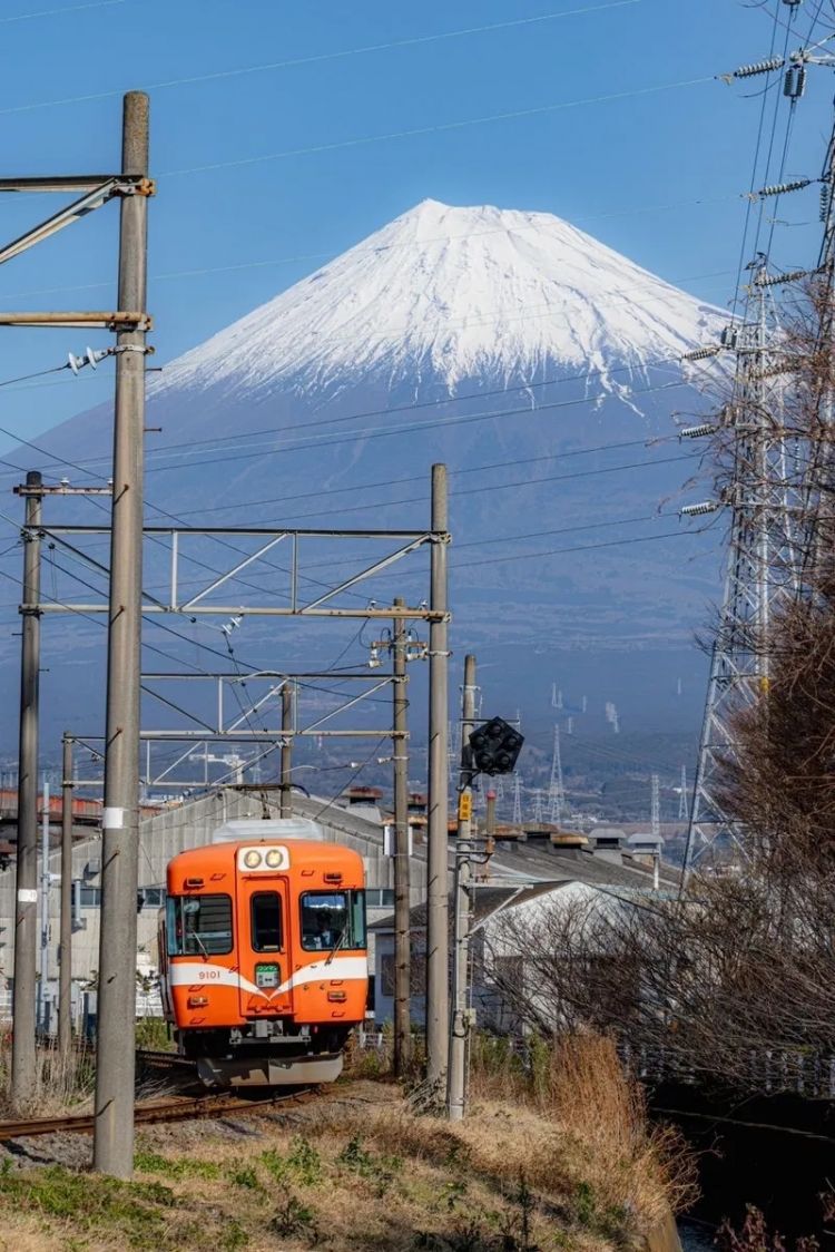 第274期：安倍晋三遇刺案山上彻也将上诉；日本新首相将于18日选出；米仓凉子复出？石原里美木村拓哉梦幻联动？| 百通板