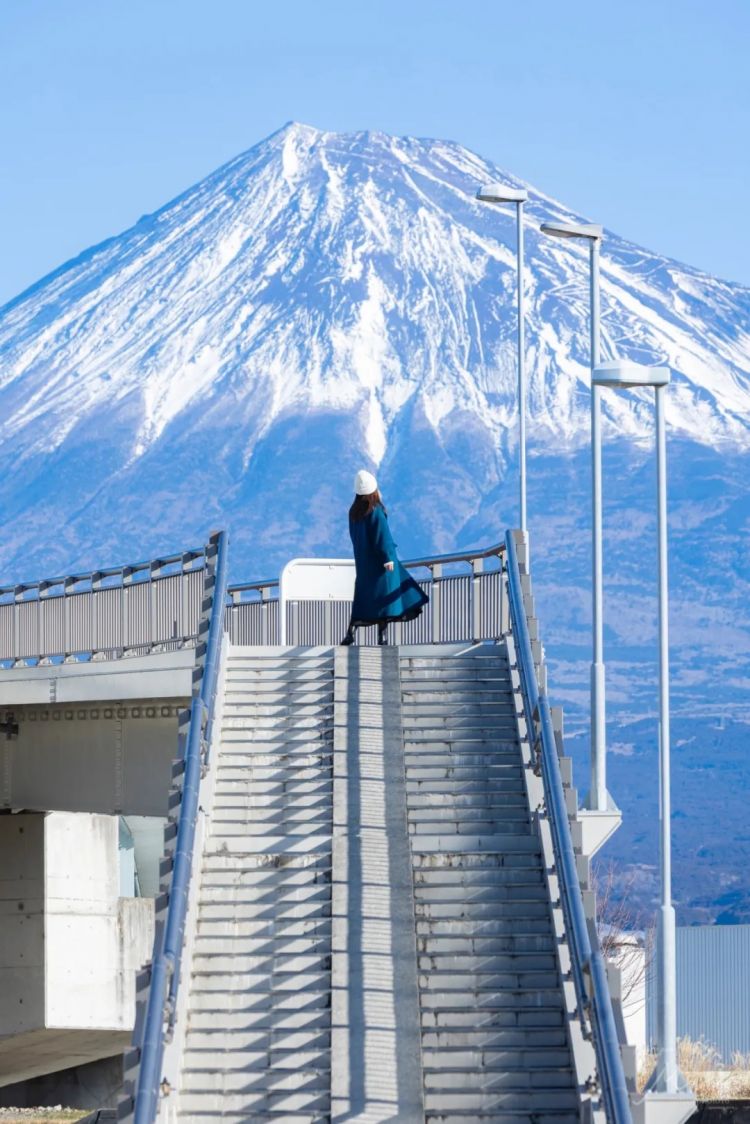 第273期：安倍晋三遇刺案宣判无期；提前大选 高市早苗支持率骤降？上野双胞胎熊猫回国 日本再无大熊猫？| 百通板