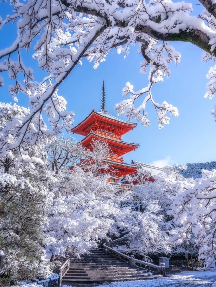 第274期：安倍晋三遇刺案山上彻也将上诉；日本新首相将于18日选出；米仓凉子复出？石原里美木村拓哉梦幻联动？| 百通板