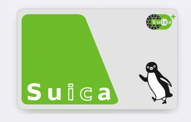 Suica企鹅继任官宣选拔委员会 熊本熊之父等任评委