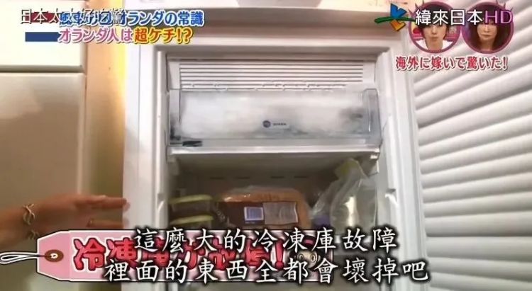 嫁到荷兰住进豪宅，日本太太却被丈夫活活逼疯：不准吃饱、不准理发、不准用电？！