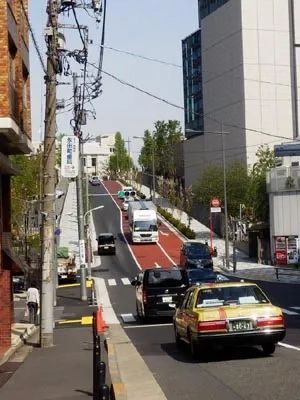 日本政府公务车闯红灯撞车导致百姓1死8伤！日本网友：谁指使的？