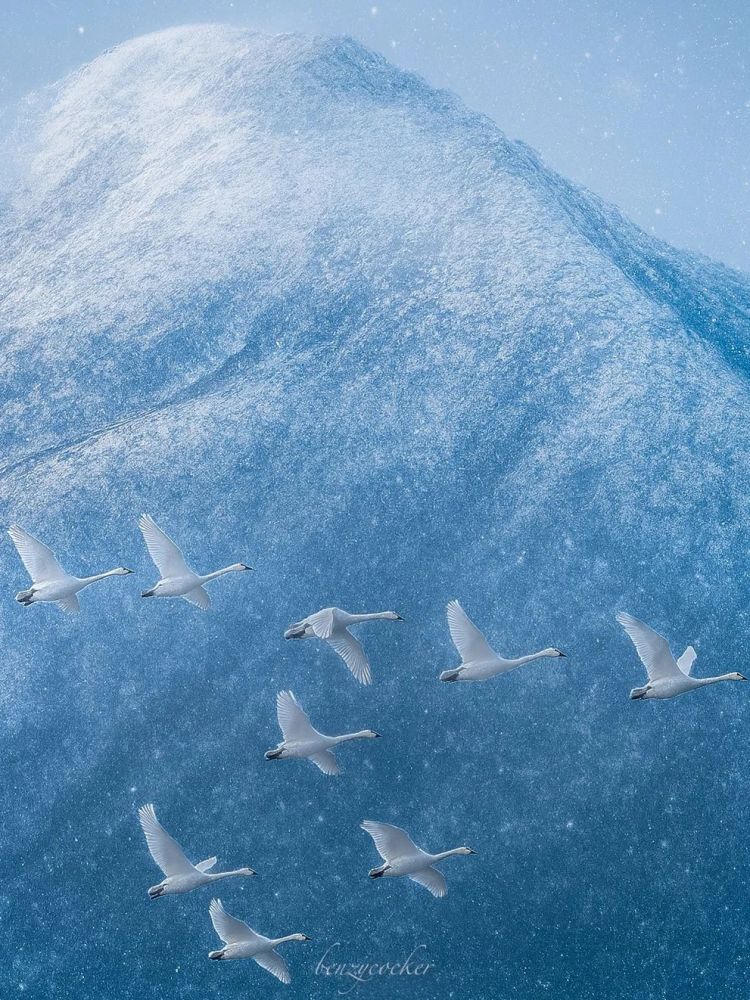 第274期：安倍晋三遇刺案山上彻也将上诉；日本新首相将于18日选出；米仓凉子复出？石原里美木村拓哉梦幻联动？| 百通板