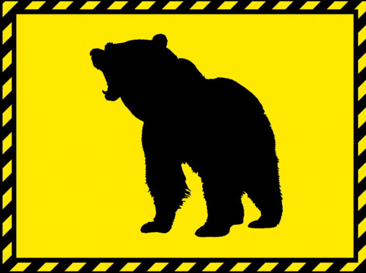 日本七旬猎人驱熊反遭袭击 冬季熊出没极为罕见