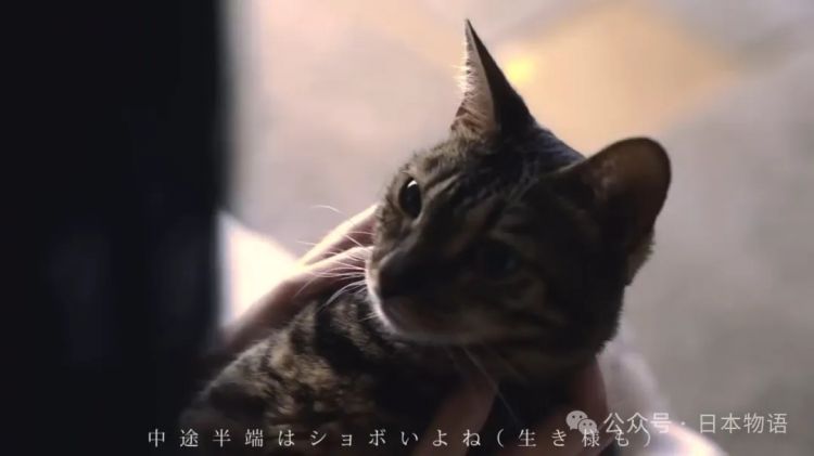 三位父亲，暴力与剥削的家——破碎的她17岁就靠卖身支撑家庭的日本女性震撼告白