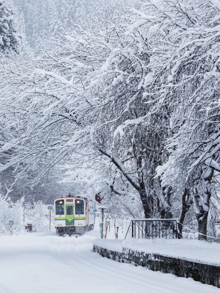 第275期：众议院选举大胜 日本进入高市早苗首相时代？米兰冬奥日本花滑团体摘银；平成的山口百惠闪婚？| 百通板